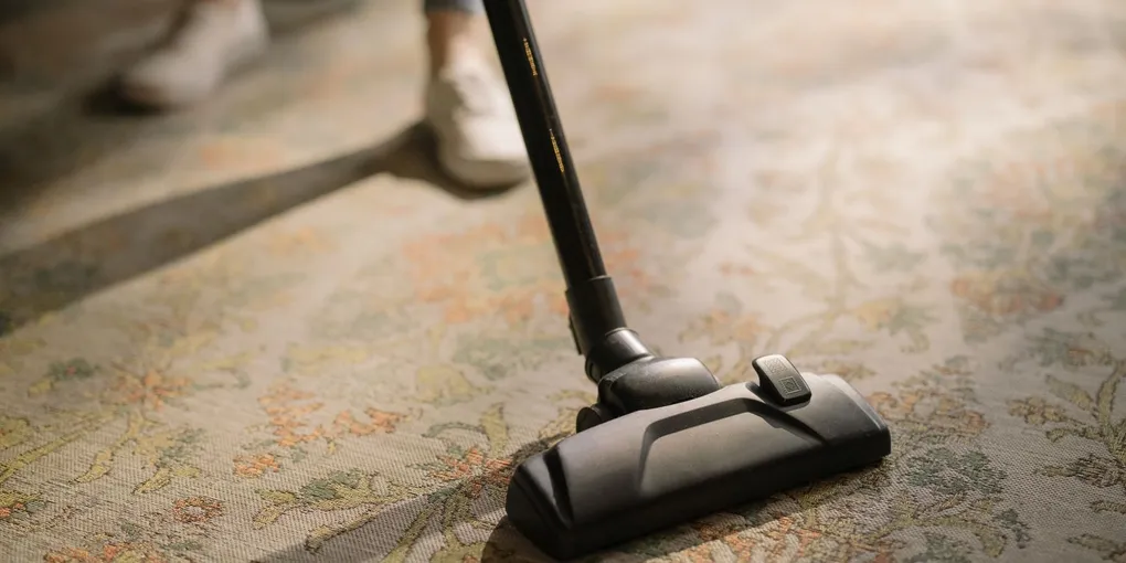 How to Clean Carpet: Deep Cleaning, Spot Treatment, and Deodorizing