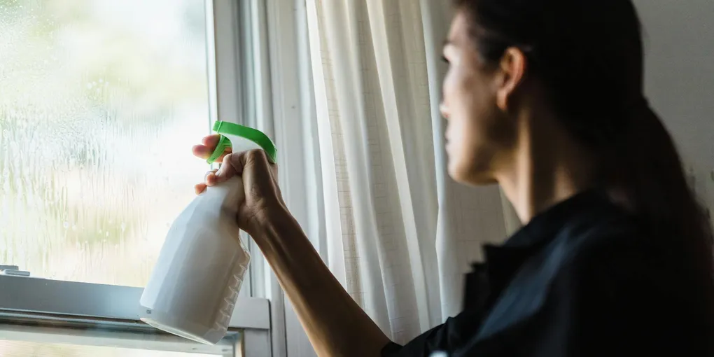 How to Clean Windows Without Streaks (Squeegee Method)