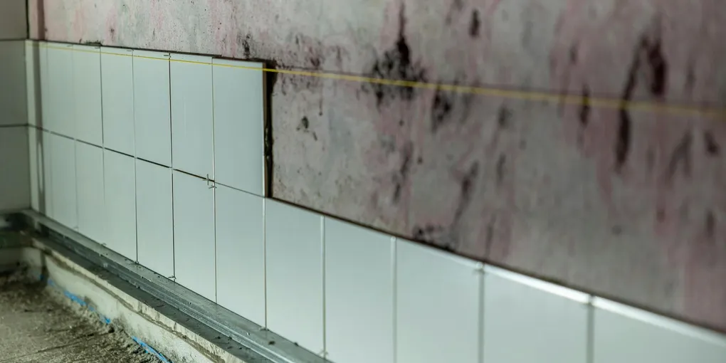 How to Fix a Bathroom Tile That Fell Off: Step-by-Step Guide