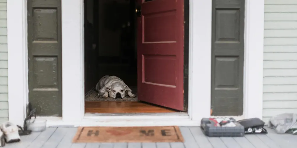 How to Fix a Broken Door Threshold: Step-by-Step Guide