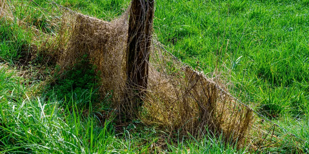 How to Fix a Broken Fence Post: Repair vs. Replace (2026)