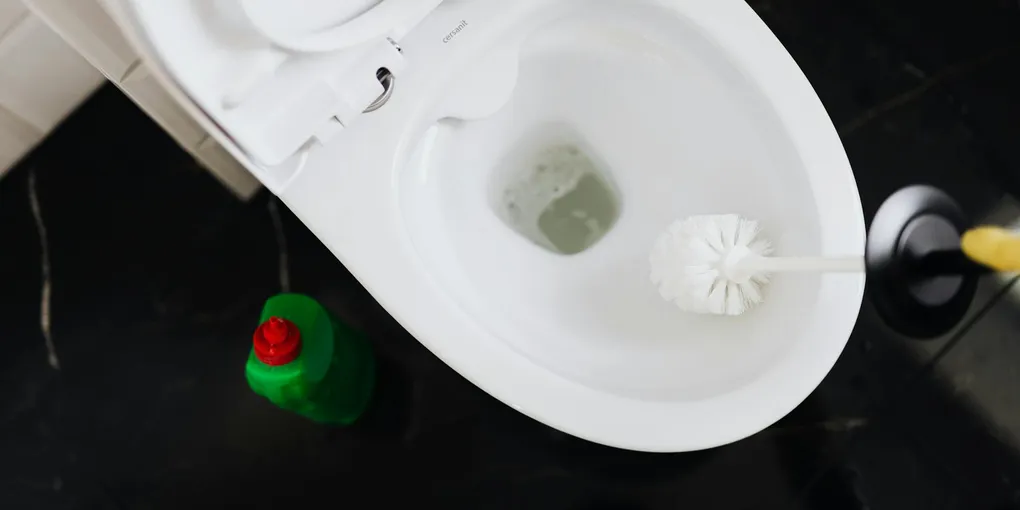 How to Fix a Broken Toilet Wax Ring: Step-by-Step Guide