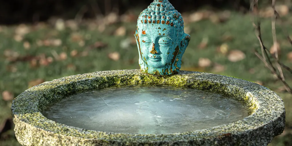 How to Fix a Broken Water Softener Resin Tank: Step-by-Step Guide