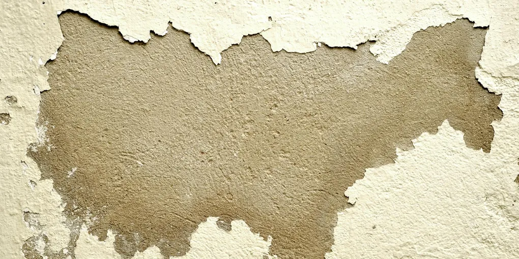 How to Fix a Bubbling Paint Wall: Step-by-Step Guide