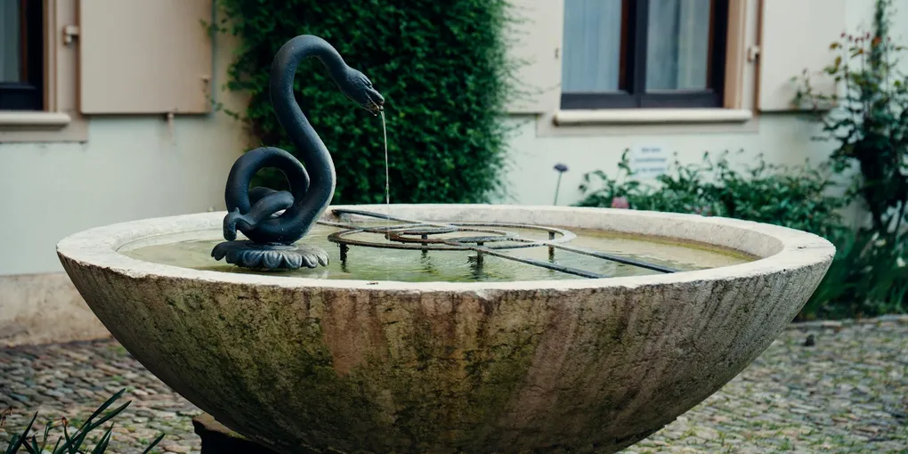 How to Fix a Clogged Downspout: Flushing, Snaking, and Redirecting