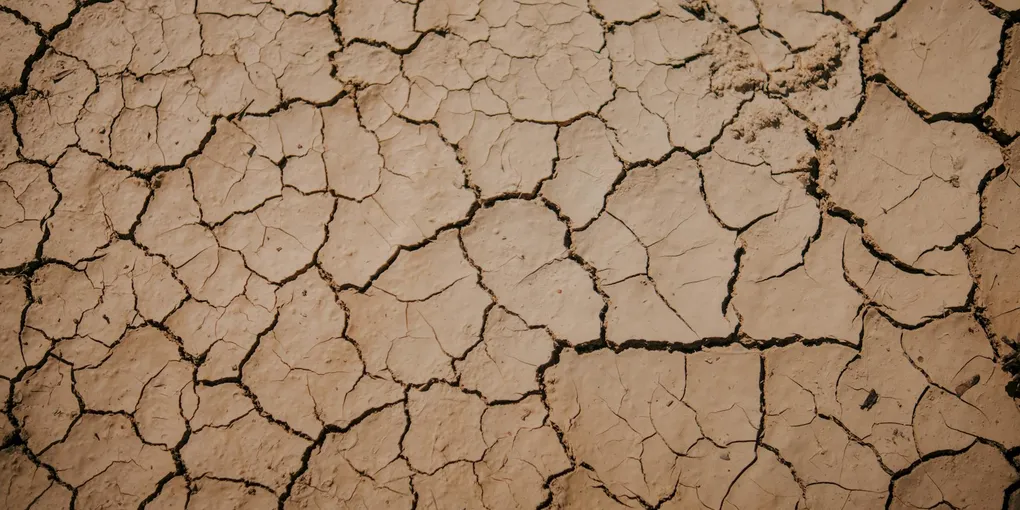 How to Fix a Cracked Ceiling: Hairline Cracks, Settlement Cracks, and Water Stains (2026)