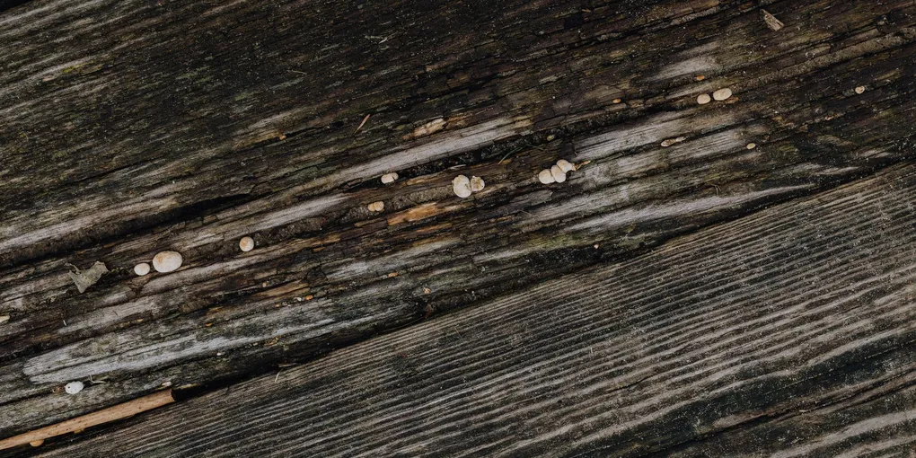How to Fix a Cracked Floor Joist: Step-by-Step Guide
