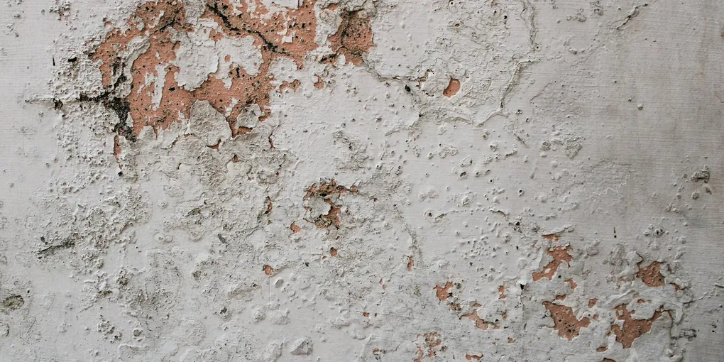 How to Fix a Cracked Plaster Ceiling: Step-by-Step Guide