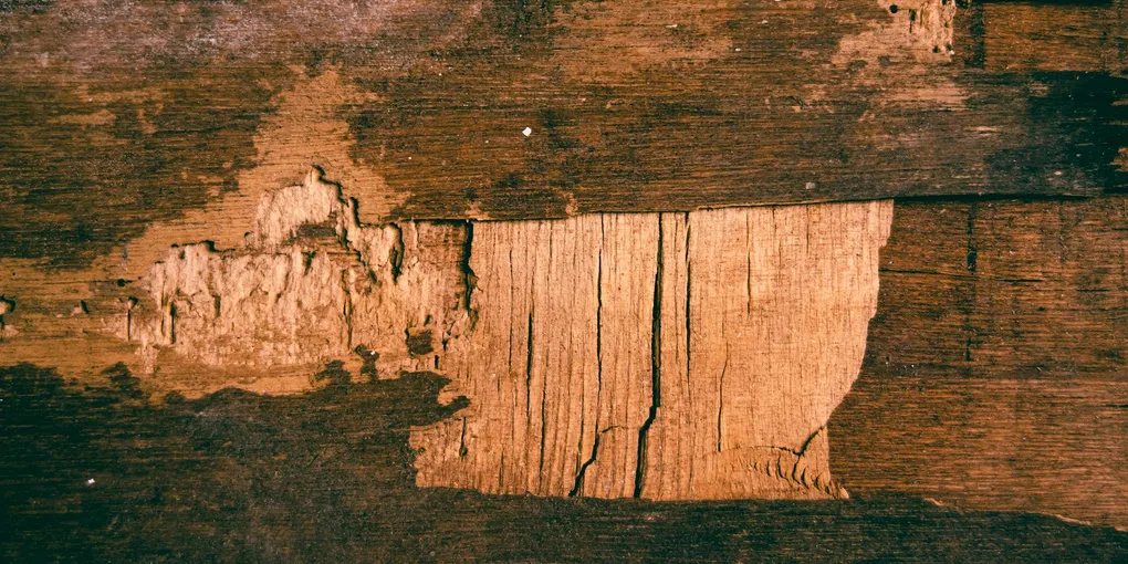 How to Fix a Cracked Plywood Subfloor: Step-by-Step Guide