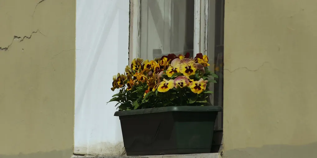 How to Fix a Cracked Window Sill: Step-by-Step Guide