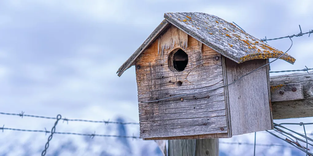 How to Fix a Cracked Wood Fence Post: Step-by-Step Guide