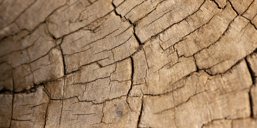 How to Fix a Cracked Wooden Garden Bed: Step-by-Step Guide