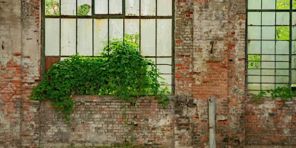How to Fix a Crumbling Brick Wall: Tuckpointing, Spalling Brick Repair, Sealant, and Efflorescence (2026)