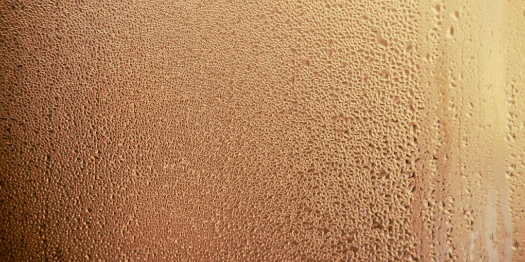How to Fix a Damp Crawl Space: Vapor Barriers, Drainage, and Encapsulation