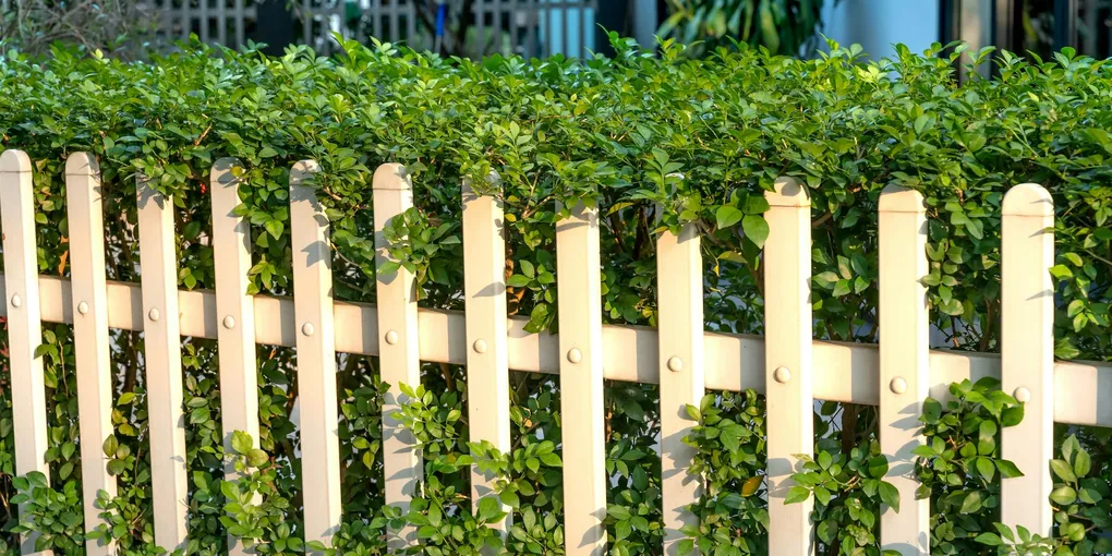 How to Fix a Fence: Replacing Boards, Pickets, and Sections (2026)