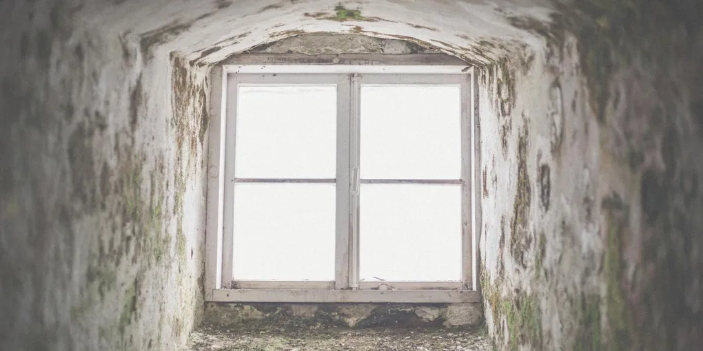How to Fix a Leaking Basement Window Well: Step-by-Step Guide