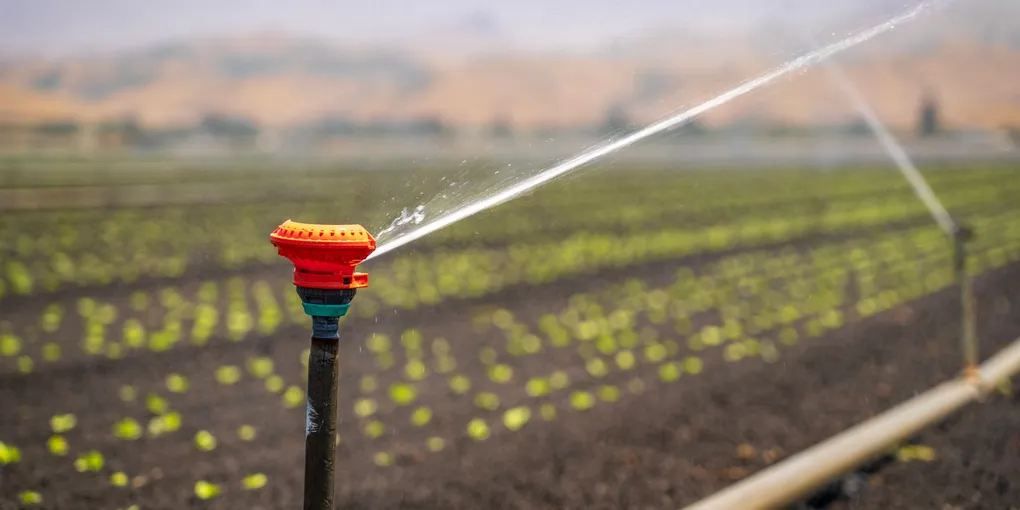 How to Fix a Leaking Irrigation Valve: Step-by-Step Guide