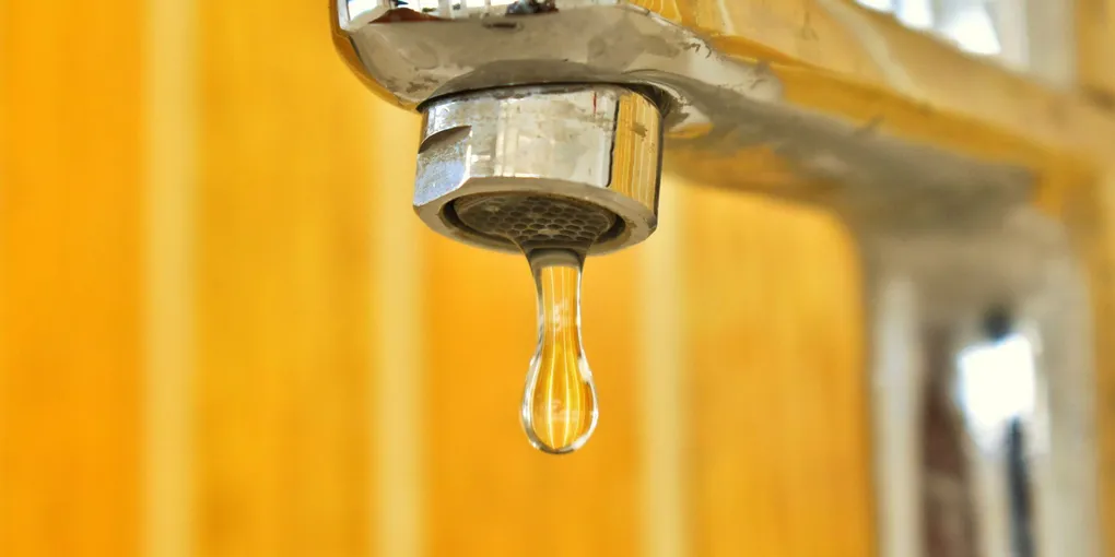 How to Fix a Leaking Kitchen Faucet: Cartridge, Ball, and Ceramic Disc Repair
