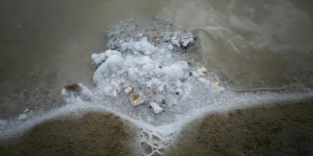 How to Fix a Leaking Water Softener Brine Tank: Step-by-Step Guide
