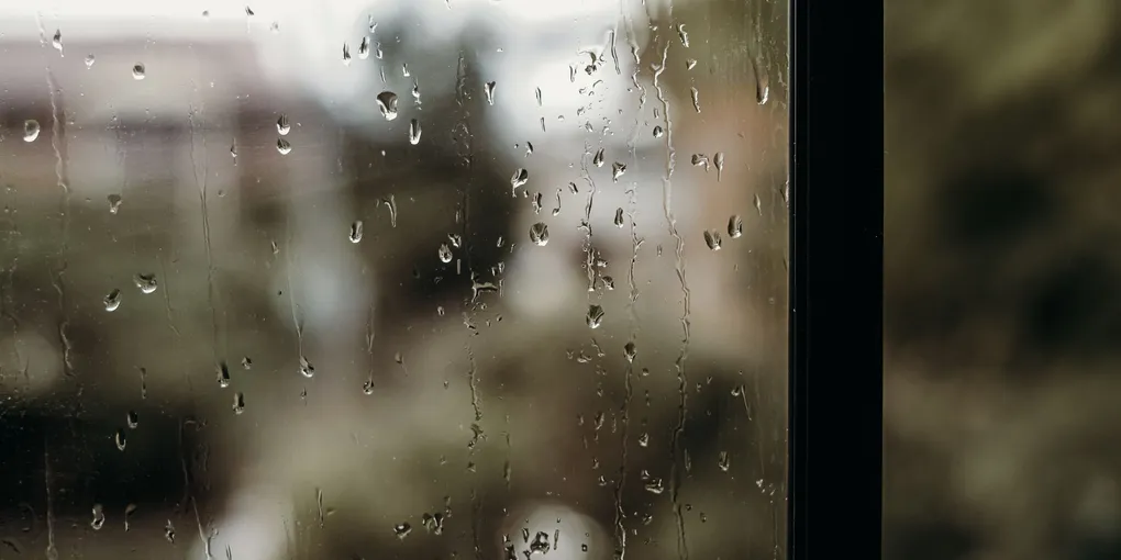 How to Fix a Window Leaking During Rain: Flashing, Caulk, and Drainage Diagnosis (2026)