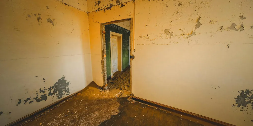How to Fix a Musty Smelling House: Source Identification and Remediation