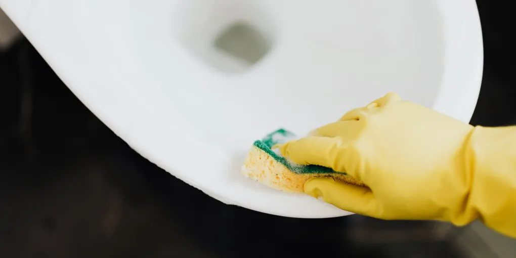 How to Fix a Slow Flushing Toilet: Rim Jets, Flapper, and Water Level