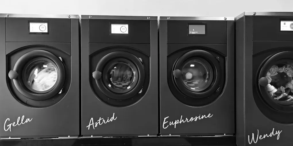 How to Fix a Washing Machine That Won't Drain: Filter, Pump, and Hose (2026)