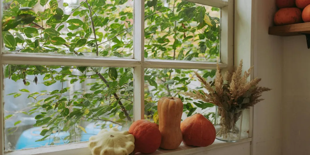 How to Fix a Window That Falls Closed (or Won't Stay Up): Replacing Sash Balances (2026)
