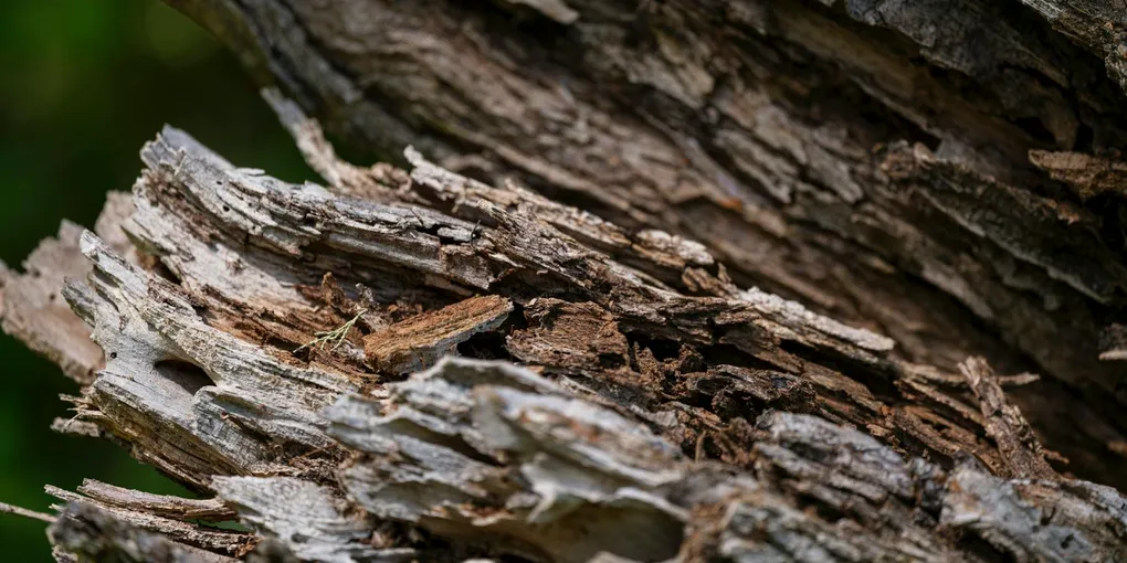 How to Fix a Rotted or Loose Deck Post: Post Base, Sistering, Footing, and Surface Rot (2026)