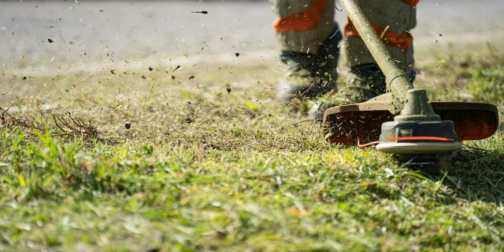 How to Fix an Uneven Lawn: Level Bumps, Fill Low Spots, and Topdress for a Flat Surface