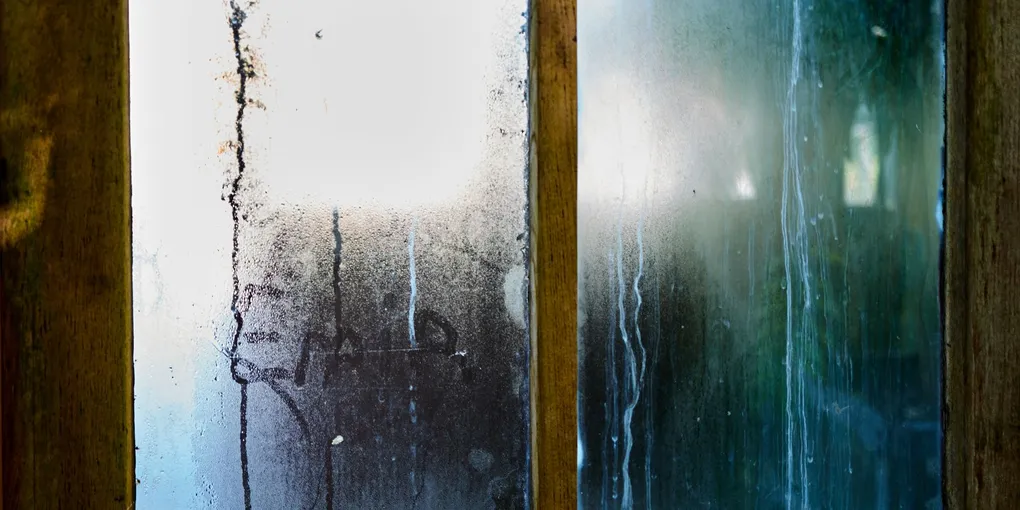 How to Fix Condensation on Windows: Interior, Exterior, and Between-Pane Fog (2026)
