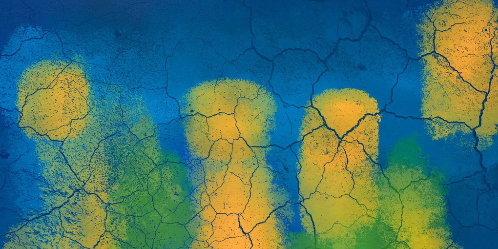 How to Fix Cracks in Walls: Hairline Cracks, Settlement Cracks, and Corner Cracks (2026)