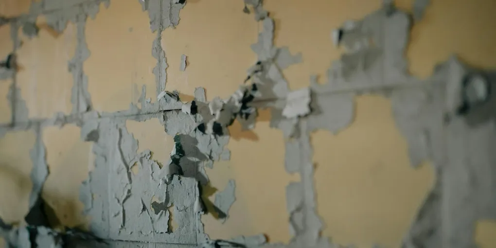How to Fix Peeling Paint on Interior Walls: Bathroom Peeling, Moisture Damage, and Bad Adhesion (2026)