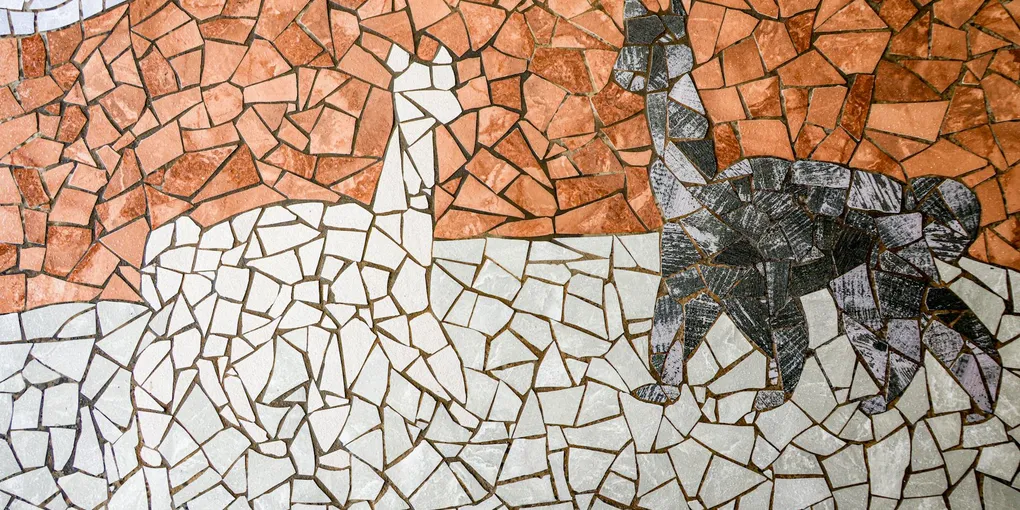How to Grout Floor Tile: Application, Joints, and Sealing