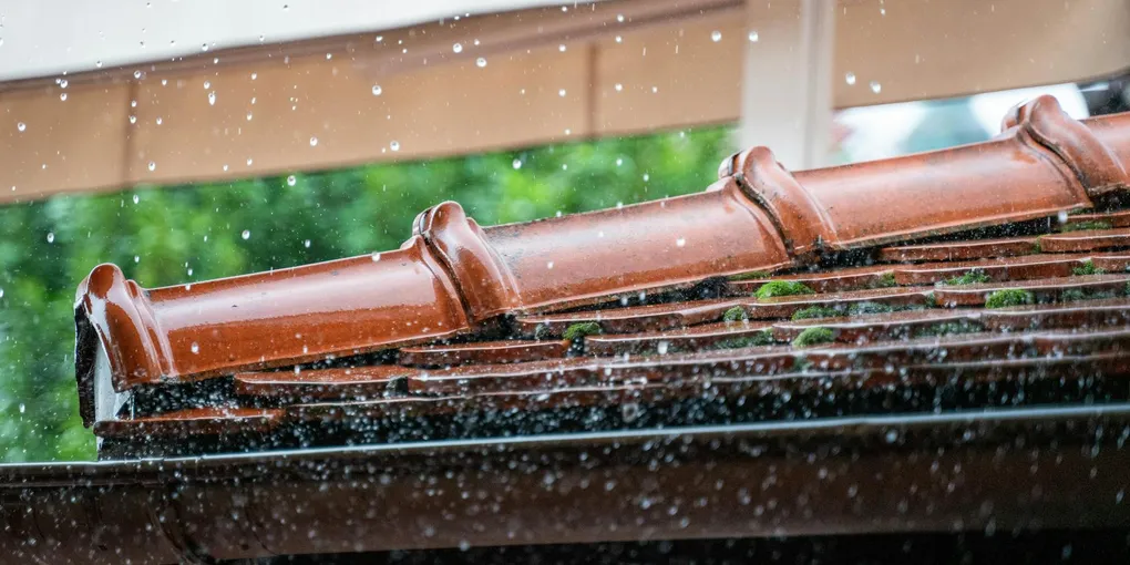 How to Install Gutter Guards: DIY Types, Steps, and What Actually Works