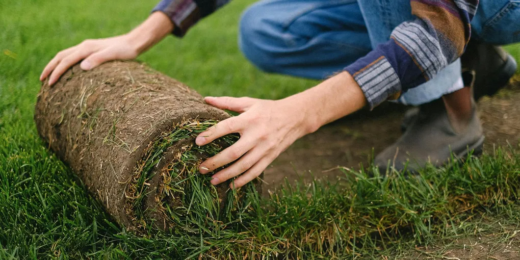 How to Lay Sod: Soil Prep, Installation, and the Critical First 3 Weeks