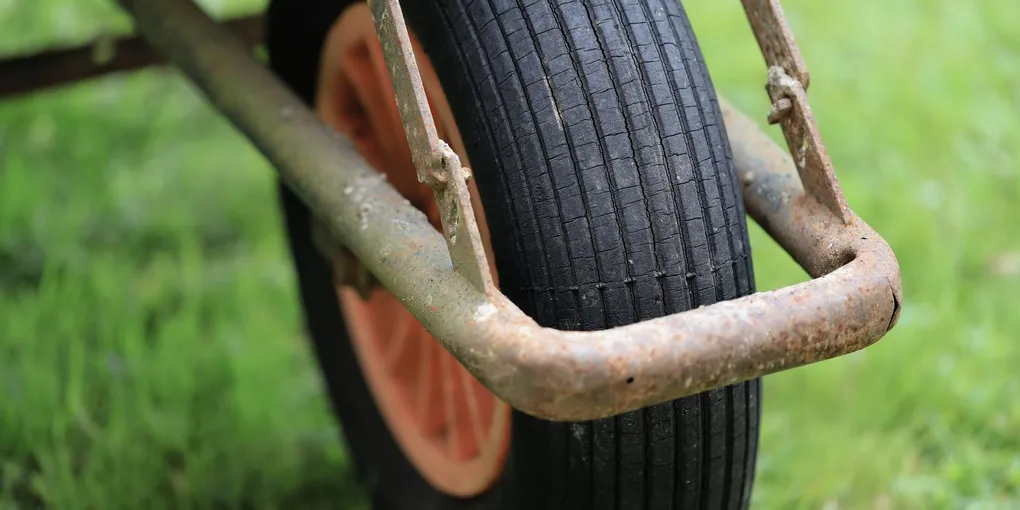 How to Overseed a Lawn: A Full DIY Guide for Thicker, Greener Grass