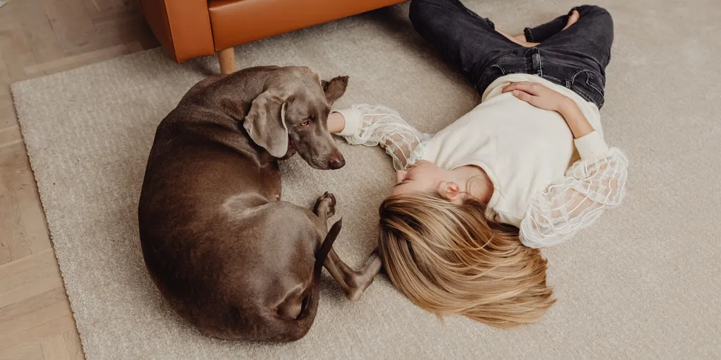 How to Remove Carpet Stains: Pet Stains, Red Wine, and Coffee (2026)