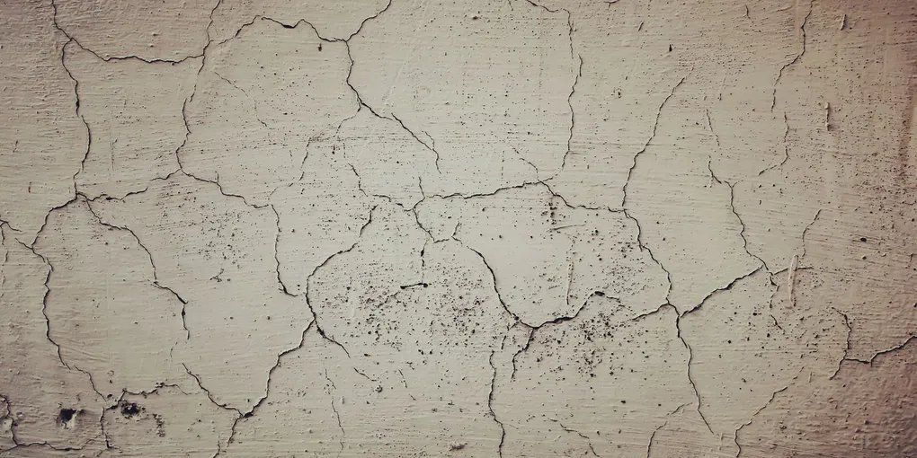 How to Repair Plaster Walls: Hairline Cracks, Loose Plaster, and Large Holes (2026)