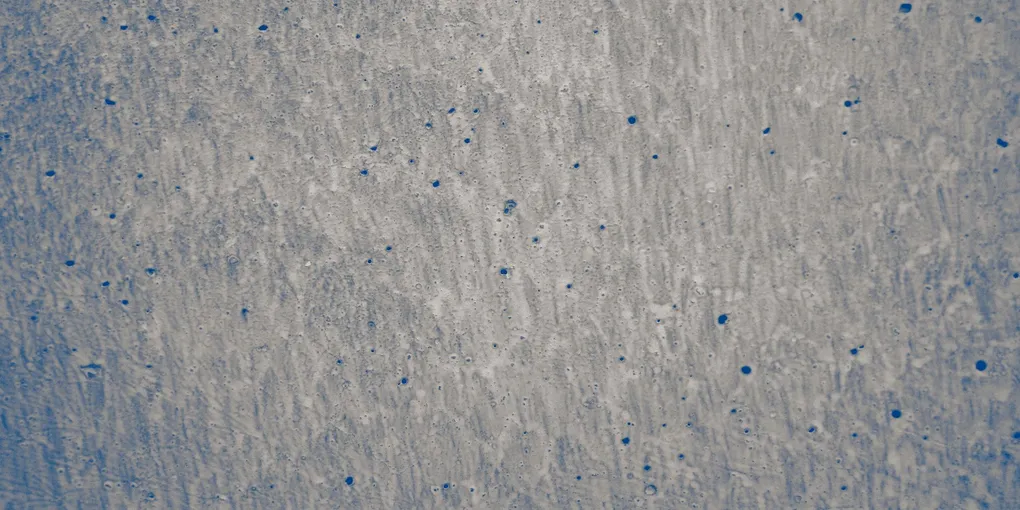 How to Repair Spalling Concrete: Surface Pitting, Flaking, and Scaling (2026)