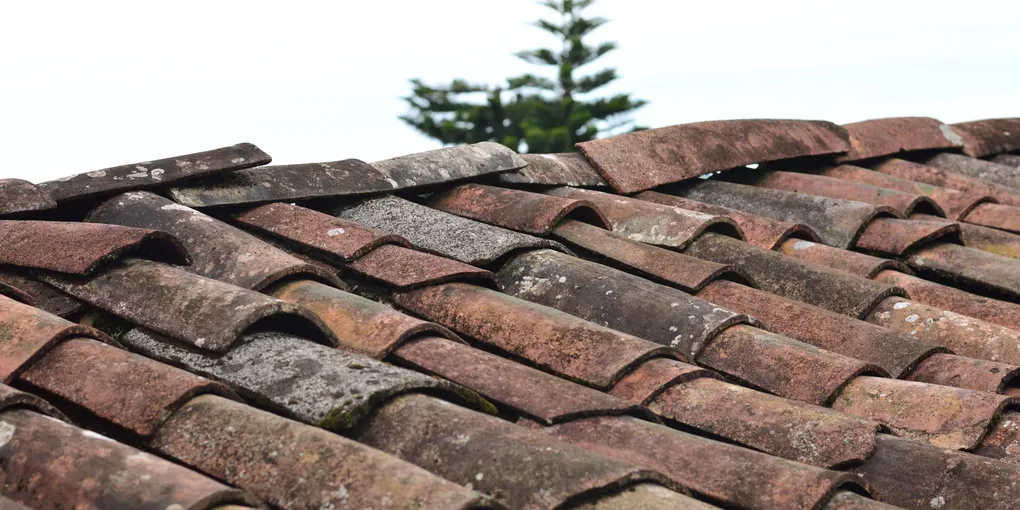 How to Replace a Roof Shingle: Fixing Missing or Damaged Asphalt Shingles (2026)