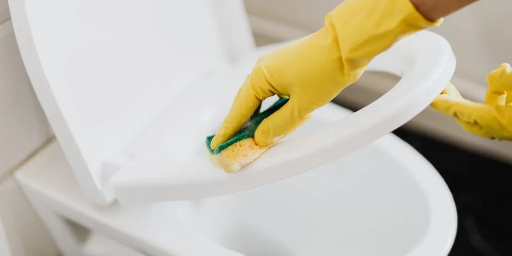 How to Replace a Toilet Seat: Remove the Old, Install the New (2026)