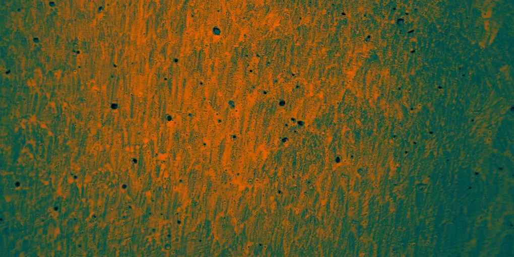 How to Texture a Ceiling: Knockdown, Orange Peel, and Skip Trowel Techniques