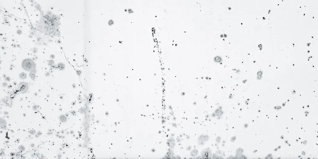 Mold Remediation Cost 2026: $500–$30,000 by Type and Size