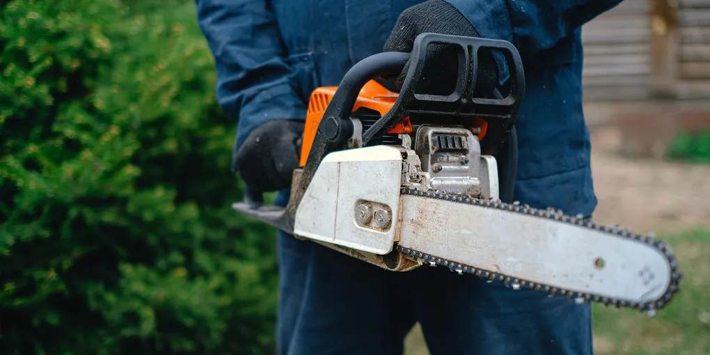 Tree Trimming Cost 2026: $200–$2,500 by Tree Size