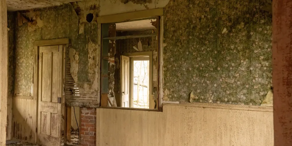 Wallpaper Removal Cost 2026: $1–$3/sq ft ($480–$1,440/Room)